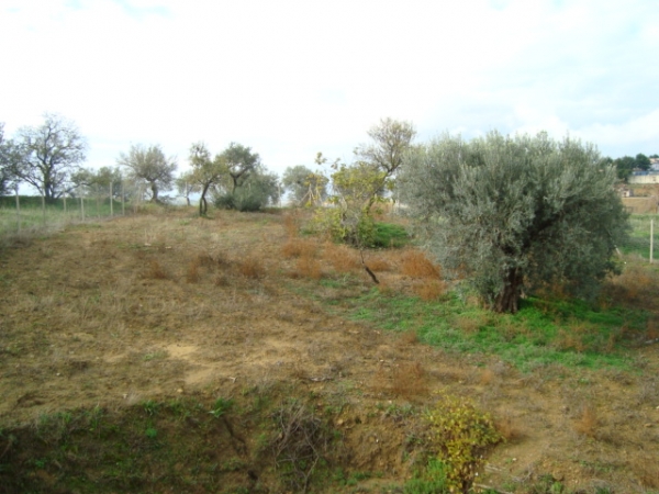Terreno in Vendita